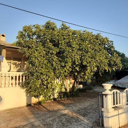 Srecko Apartman Rogoznica  Kültér fotó